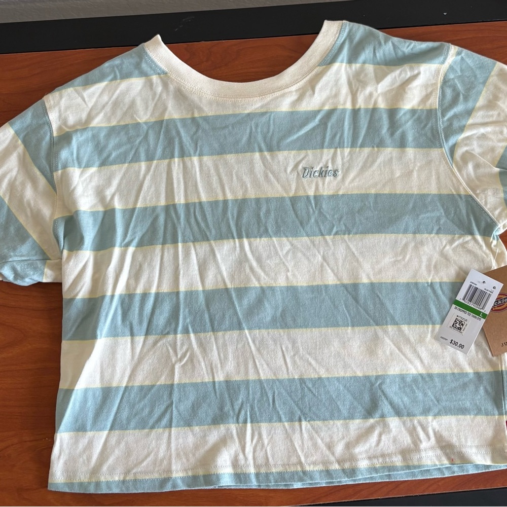 Dickies Juniors Striped Boxy T-Shirt